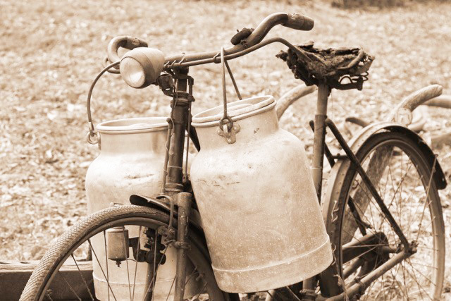 DE113 Wall décor art photographic on canvas bicycle and milk cans sepia